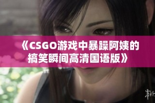 《CSGO游戏中暴躁阿姨的搞笑瞬间高清国语版》