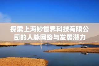 探索上海妙世界科技有限公司的人脉网络与发展潜力