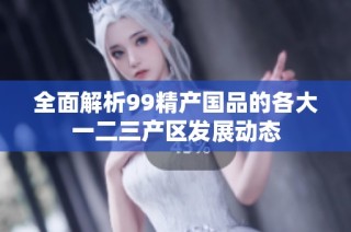 全面解析99精产国品的各大一二三产区发展动态