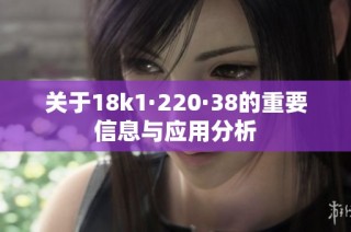 关于18k1·220·38的重要信息与应用分析