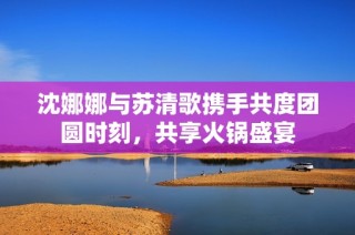 沈娜娜与苏清歌携手共度团圆时刻，共享火锅盛宴