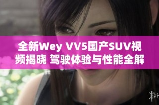 全新Wey VV5国产SUV视频揭晓 驾驶体验与性能全解析