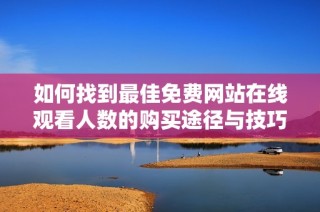 如何找到最佳免费网站在线观看人数的购买途径与技巧