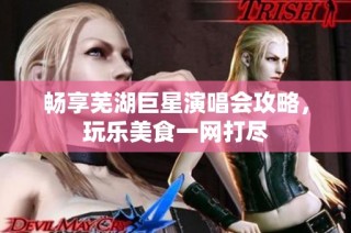 畅享芜湖巨星演唱会攻略，玩乐美食一网打尽