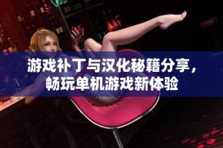 游戏补丁与汉化秘籍分享，畅玩单机游戏新体验