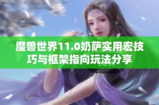 魔兽世界11.0奶萨实用宏技巧与框架指向玩法分享