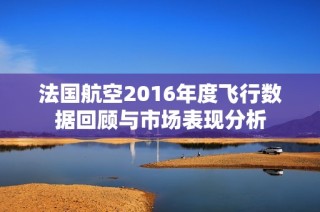 法国航空2016年度飞行数据回顾与市场表现分析