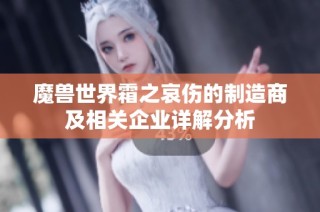 魔兽世界霜之哀伤的制造商及相关企业详解分析