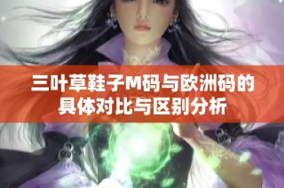 三叶草鞋子M码与欧洲码的具体对比与区别分析