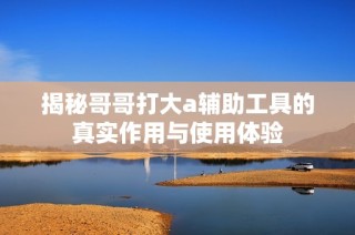 揭秘哥哥打大a辅助工具的真实作用与使用体验