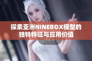 探索亚洲NINEBOX模型的独特特征与应用价值