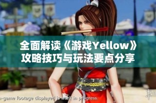 全面解读《游戏Yellow》攻略技巧与玩法要点分享