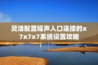 灵活配置噪声入口连接的x7x7x7系统设置攻略