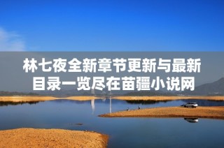 林七夜全新章节更新与最新目录一览尽在苗疆小说网