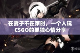 在妻子不在家时，一个人玩CSGO的孤独心情分享