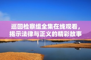 巡回检察组全集在线观看，揭示法律与正义的精彩故事