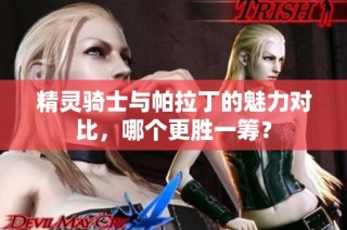 精灵骑士与帕拉丁的魅力对比，哪个更胜一筹？