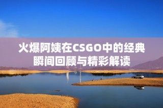 火爆阿姨在CSGO中的经典瞬间回顾与精彩解读