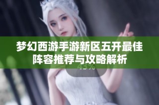 梦幻西游手游新区五开最佳阵容推荐与攻略解析
