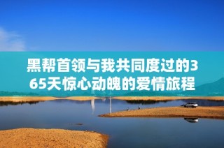 黑帮首领与我共同度过的365天惊心动魄的爱情旅程