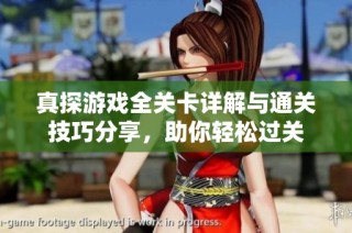 真探游戏全关卡详解与通关技巧分享，助你轻松过关