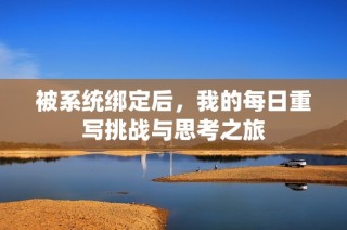 被系统绑定后，我的每日重写挑战与思考之旅