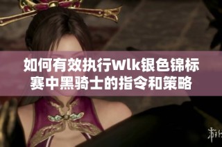 如何有效执行Wlk银色锦标赛中黑骑士的指令和策略