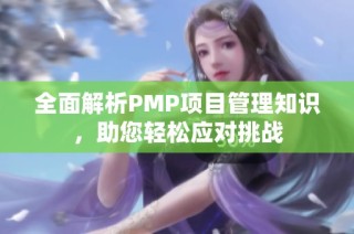 全面解析PMP项目管理知识，助您轻松应对挑战