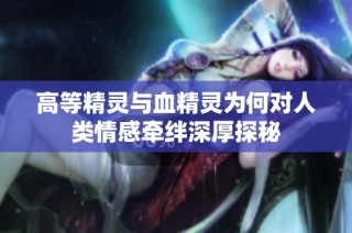 高等精灵与血精灵为何对人类情感牵绊深厚探秘