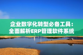 企业数字化转型必备工具：全面解析ERP管理软件系统的优势与应用