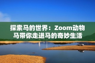 探索马的世界：Zoom动物马带你走进马的奇妙生活