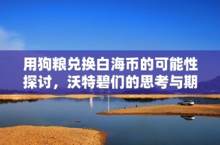 用狗粮兑换白海币的可能性探讨，沃特碧们的思考与期待