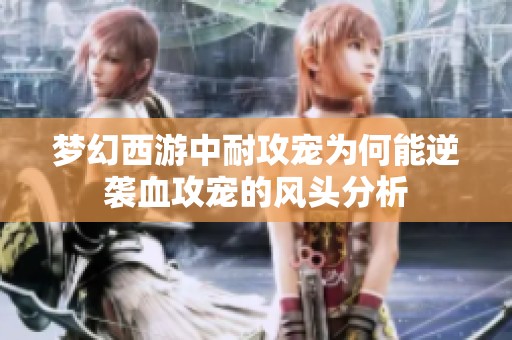 梦幻西游中耐攻宠为何能逆袭血攻宠的风头分析