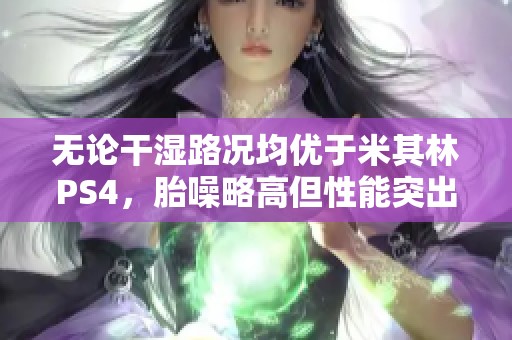 无论干湿路况均优于米其林PS4，胎噪略高但性能突出