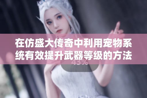 在仿盛大传奇中利用宠物系统有效提升武器等级的方法解析