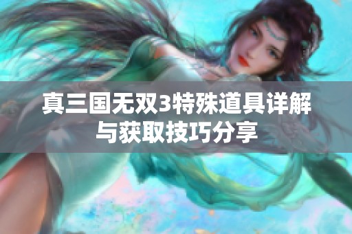 真三国无双3特殊道具详解与获取技巧分享