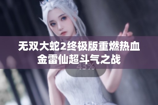 无双大蛇2终极版重燃热血金雷仙超斗气之战