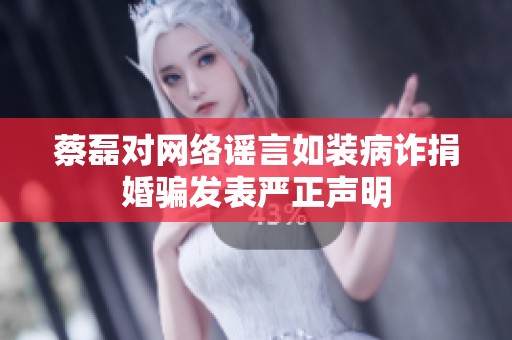 蔡磊对网络谣言如装病诈捐婚骗发表严正声明