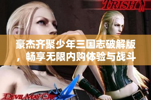 豪杰齐聚少年三国志破解版，畅享无限内购体验与战斗乐趣