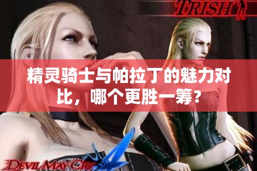 精灵骑士与帕拉丁的魅力对比，哪个更胜一筹？