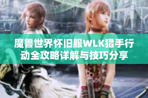 魔兽世界怀旧服WLK猎手行动全攻略详解与技巧分享