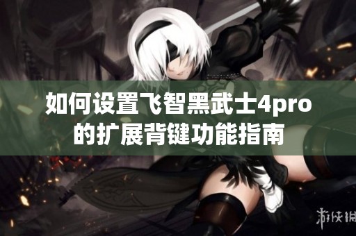 如何设置飞智黑武士4pro的扩展背键功能指南