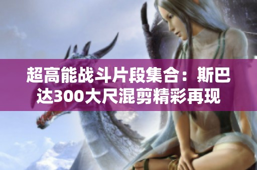 超高能战斗片段集合：斯巴达300大尺混剪精彩再现