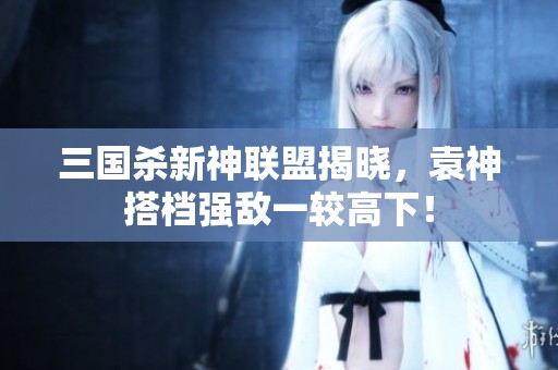 三国杀新神联盟揭晓，袁神搭档强敌一较高下！
