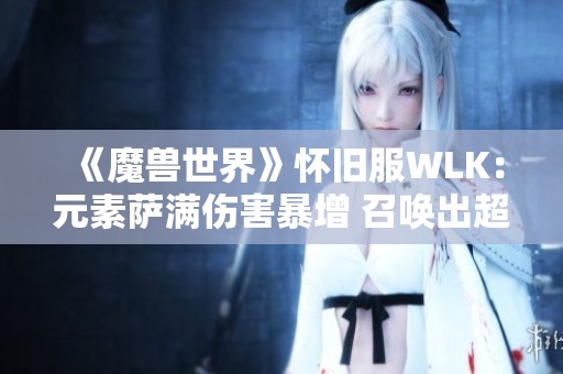 《魔兽世界》怀旧服WLK：元素萨满伤害暴增 召唤出超级火焰伙伴