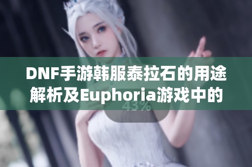 DNF手游韩服泰拉石的用途解析及Euphoria游戏中的应用详解