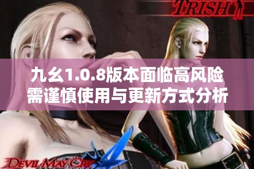 九幺1.0.8版本面临高风险需谨慎使用与更新方式分析