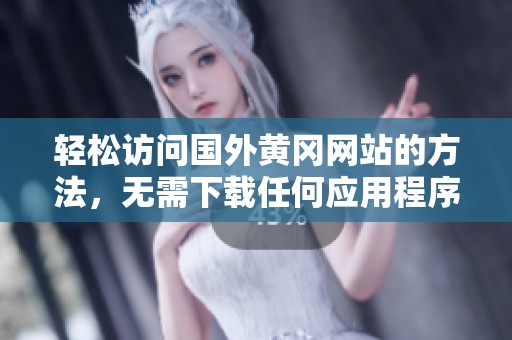 轻松访问国外黄冈网站的方法，无需下载任何应用程序