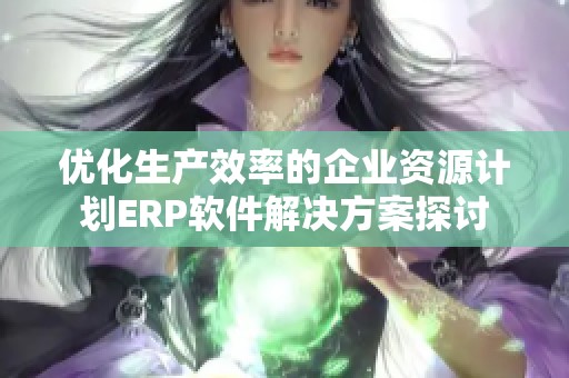 优化生产效率的企业资源计划ERP软件解决方案探讨