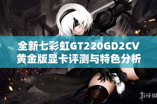 全新七彩虹GT220GD2CV黄金版显卡评测与特色分析